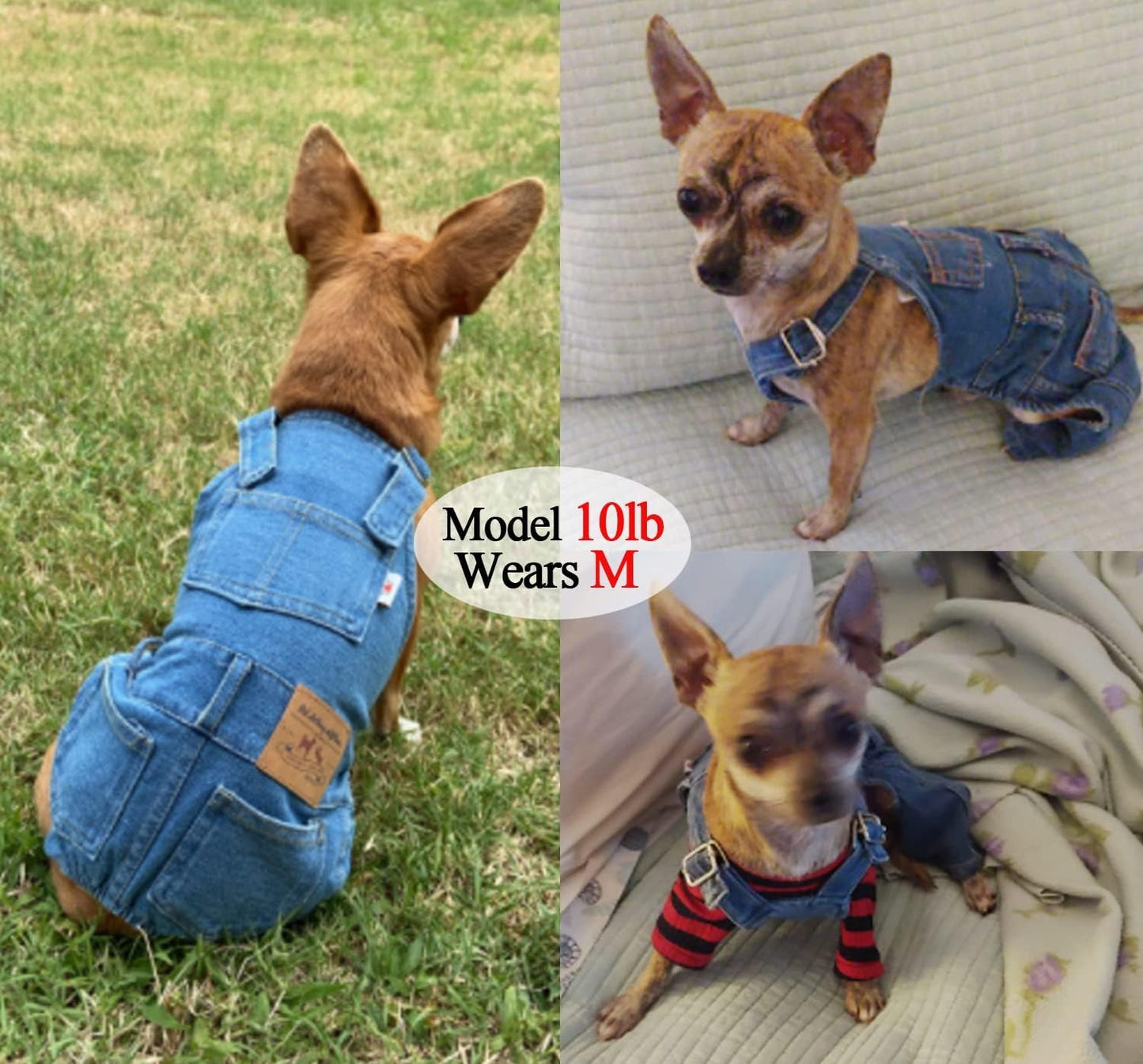 👖 Dog Denim Overalls – Adjustable Pet Jeans
